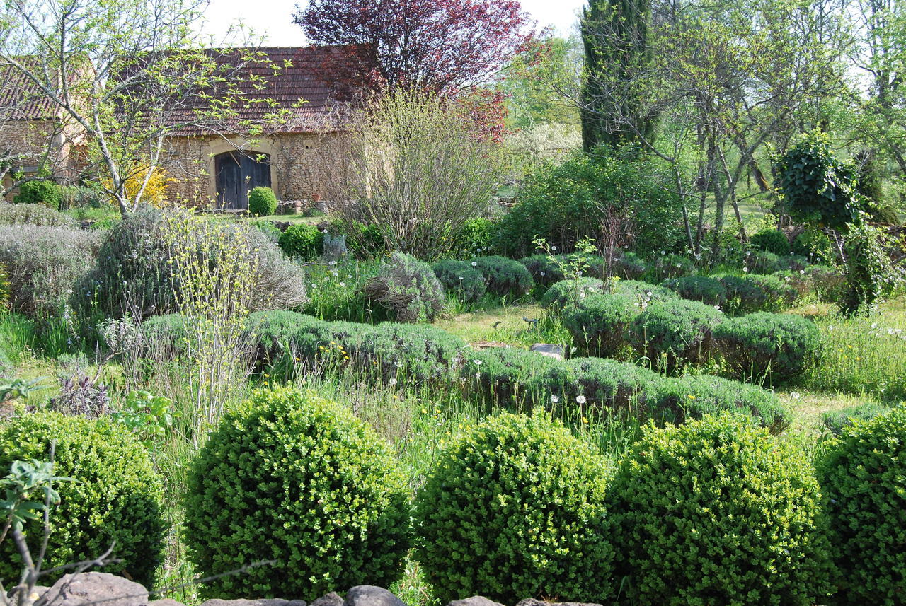 La Charmeraie Bed and Breakfast Saint-Cirq  Exterior foto
